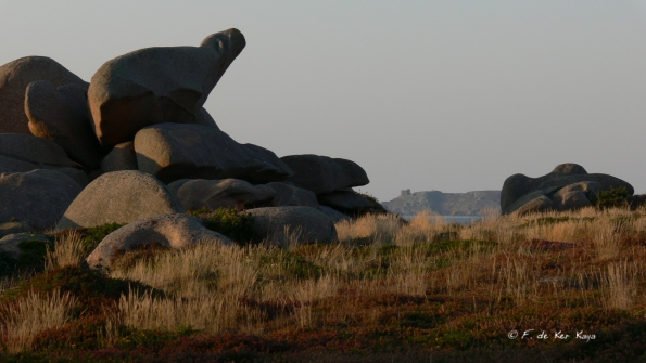 Crepuscule a Ploumanach (1)